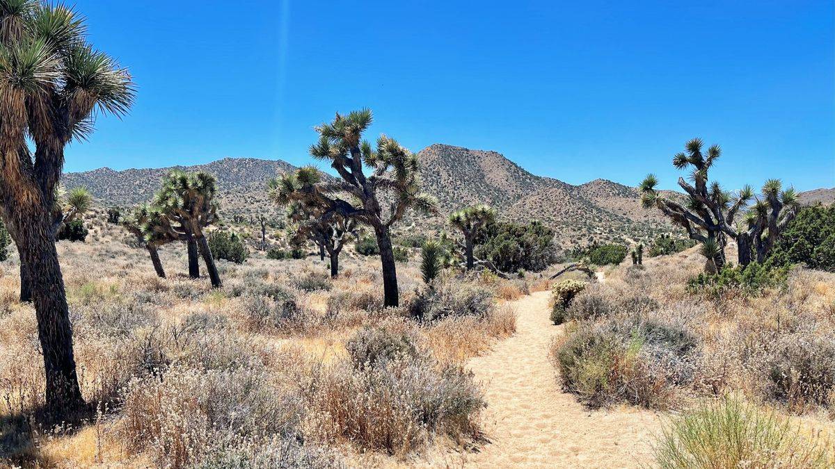 High-Desert Adventure
