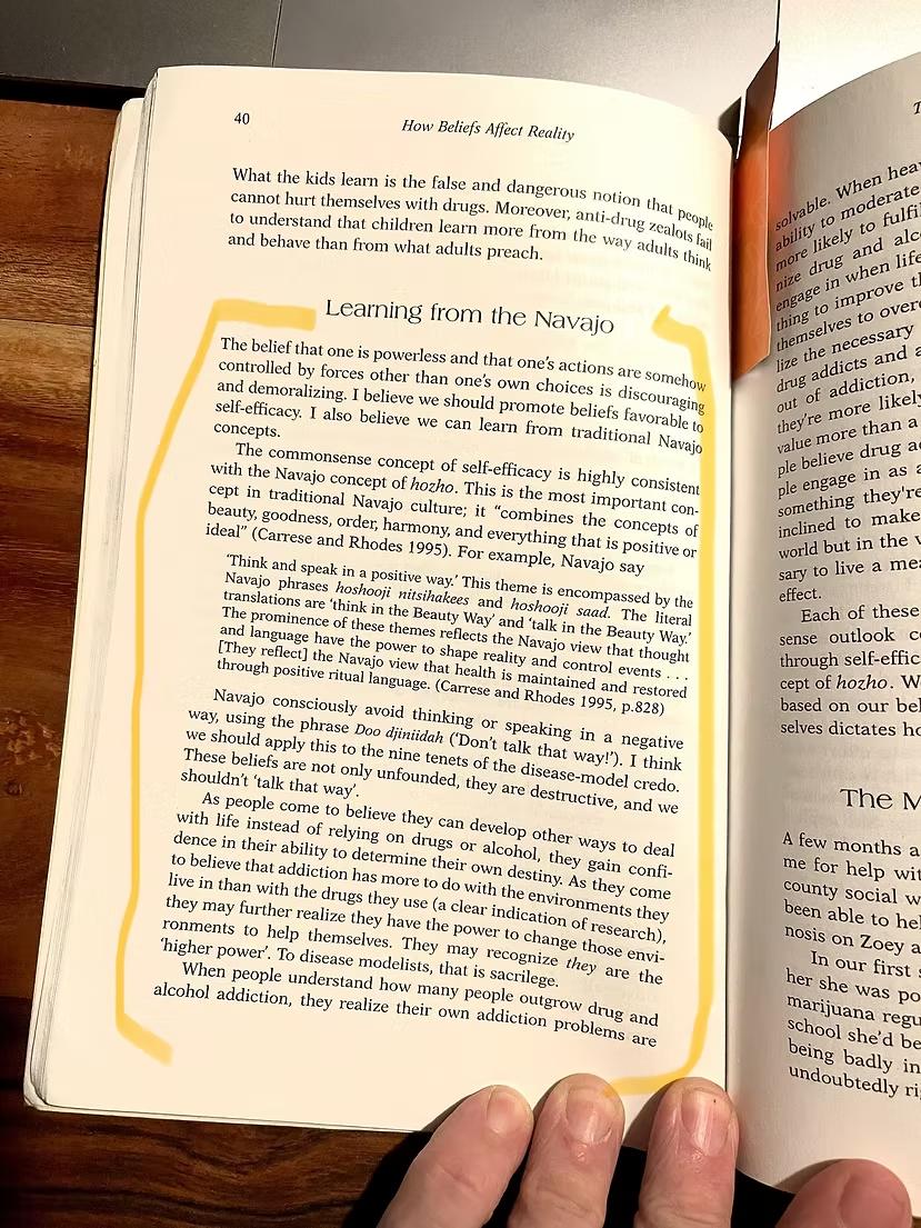 Page 40 of Jeffrey Schaler's book, the highlighted section "Learning from the Navajo" describing the concept of hozho